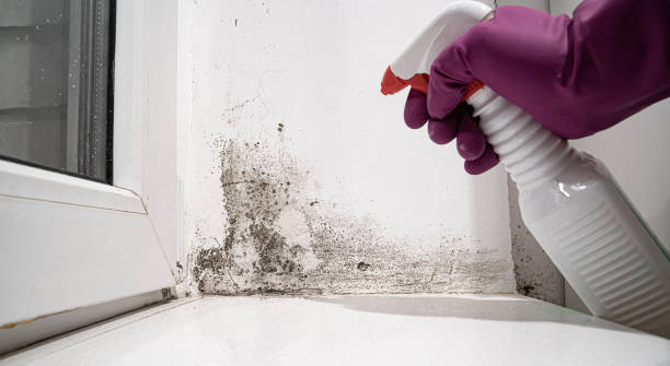 Best Emergency water damage restoration  in Greenville, IN